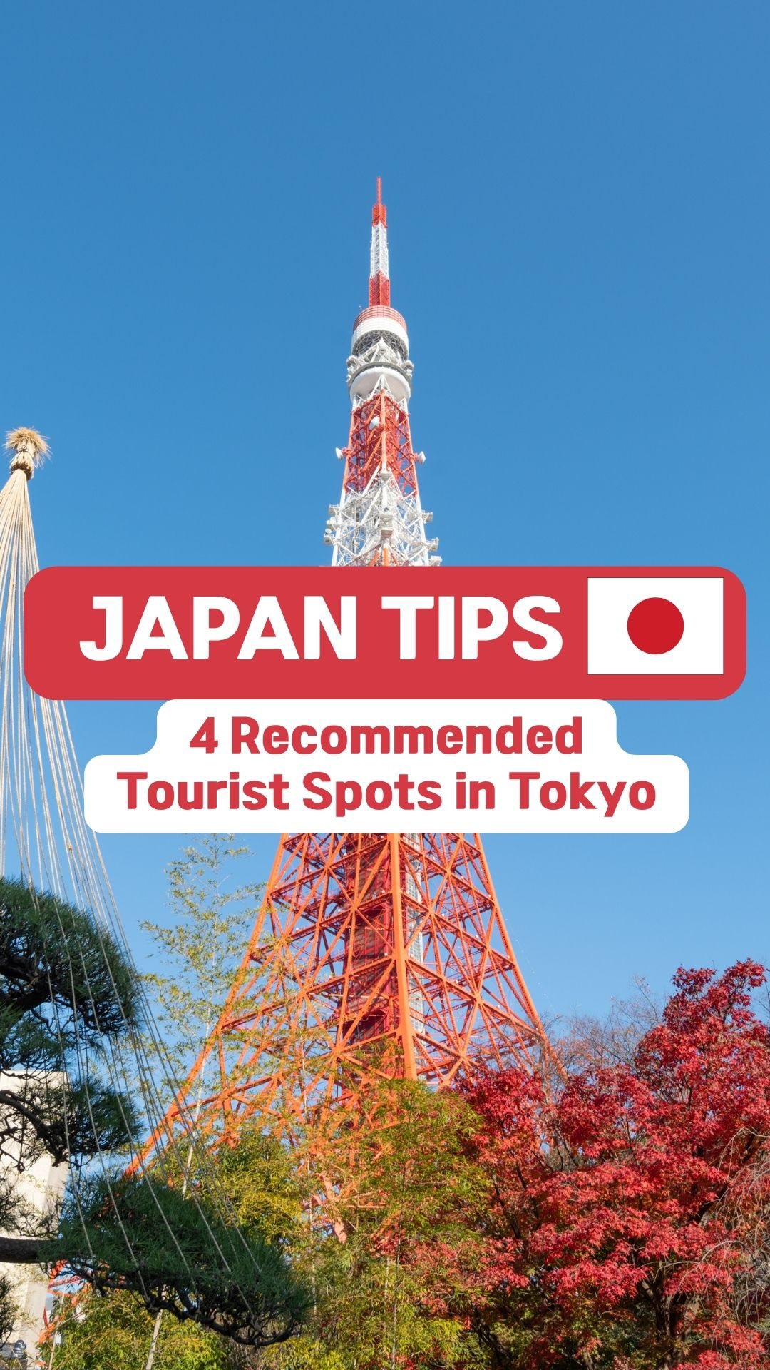 Tokyo's Top Attractions in Shibuya, Shinjuku, Asakusa, Ginza