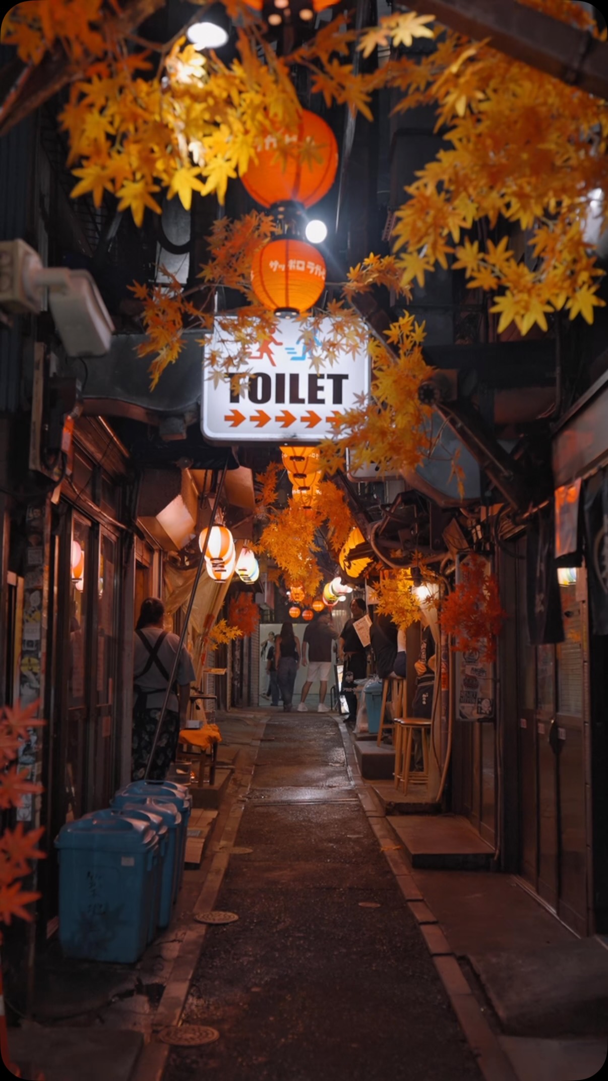 Tokyo's Omoide Yokocho: A Nostalgic Alley