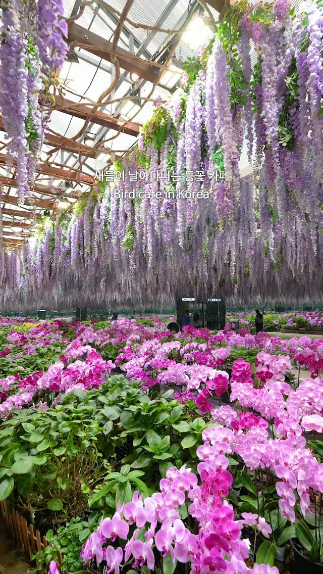 Gapyeong Bird Park Offers Tropical Aviary and Gardens