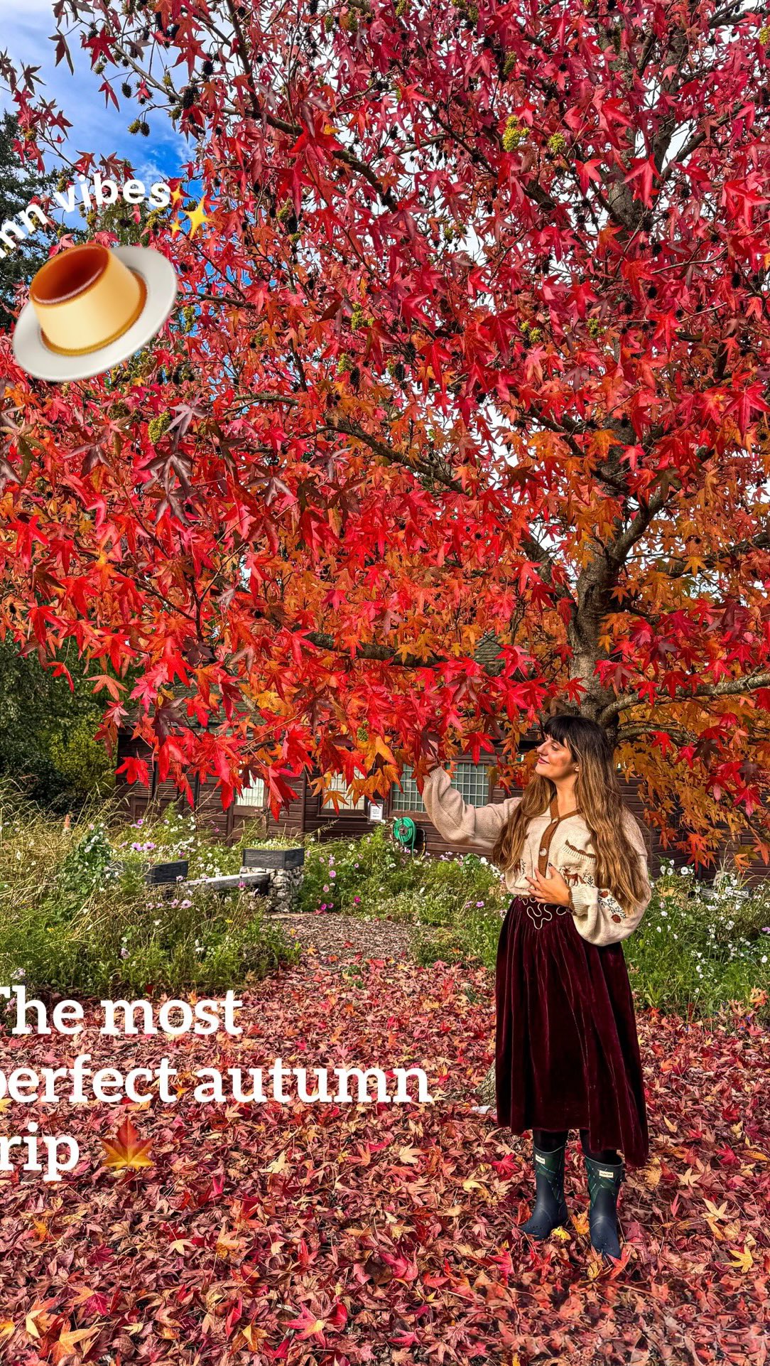Hever Castle: Autumn Day Trip Destination