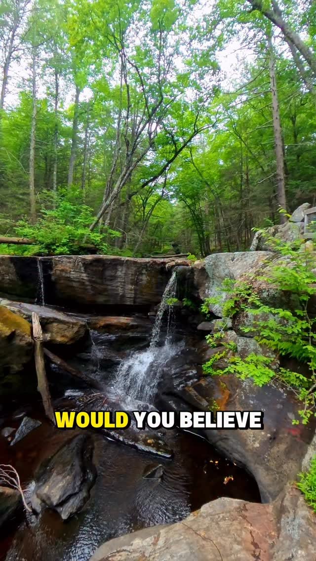 Enders State Forest And Brooks Falls