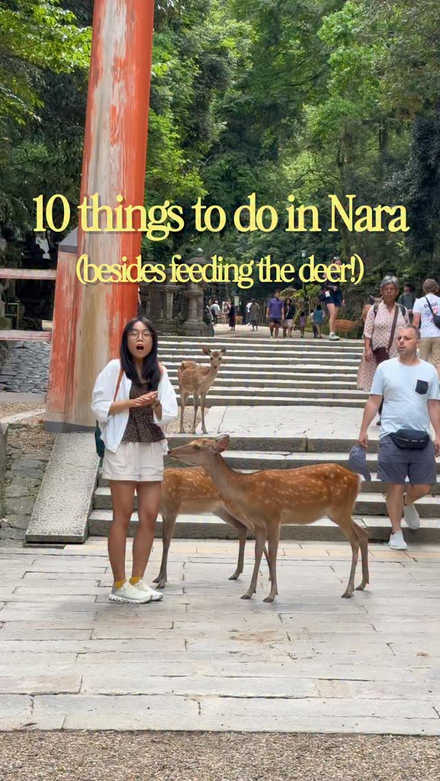 Nara's Diverse Attractions Beyond Deer Feeding