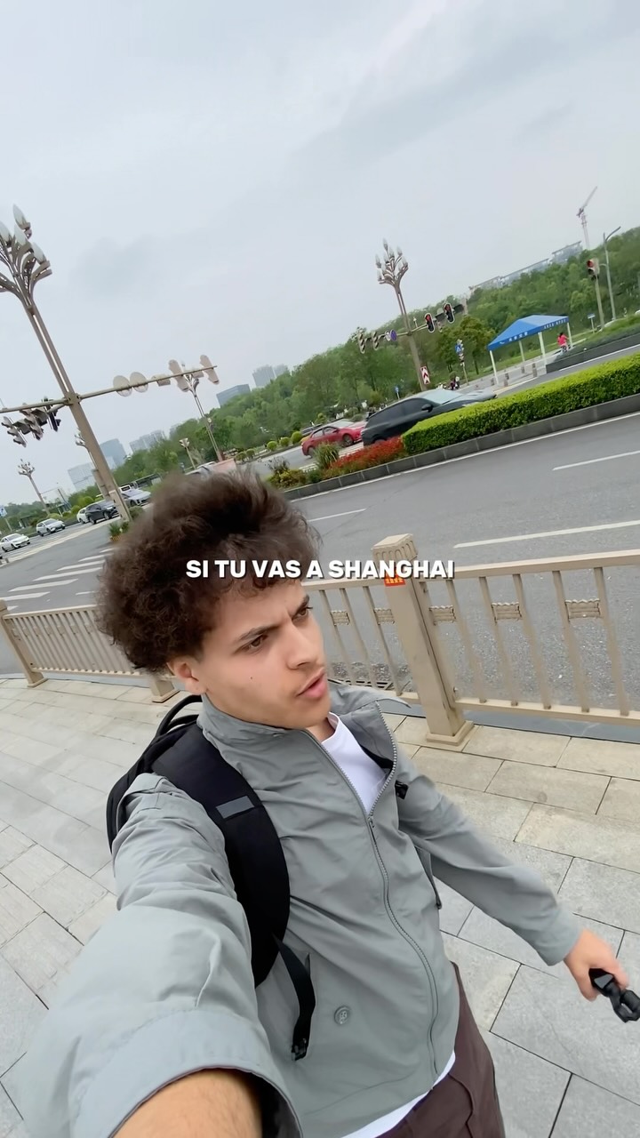 Shanghai Art Galleries and Parks