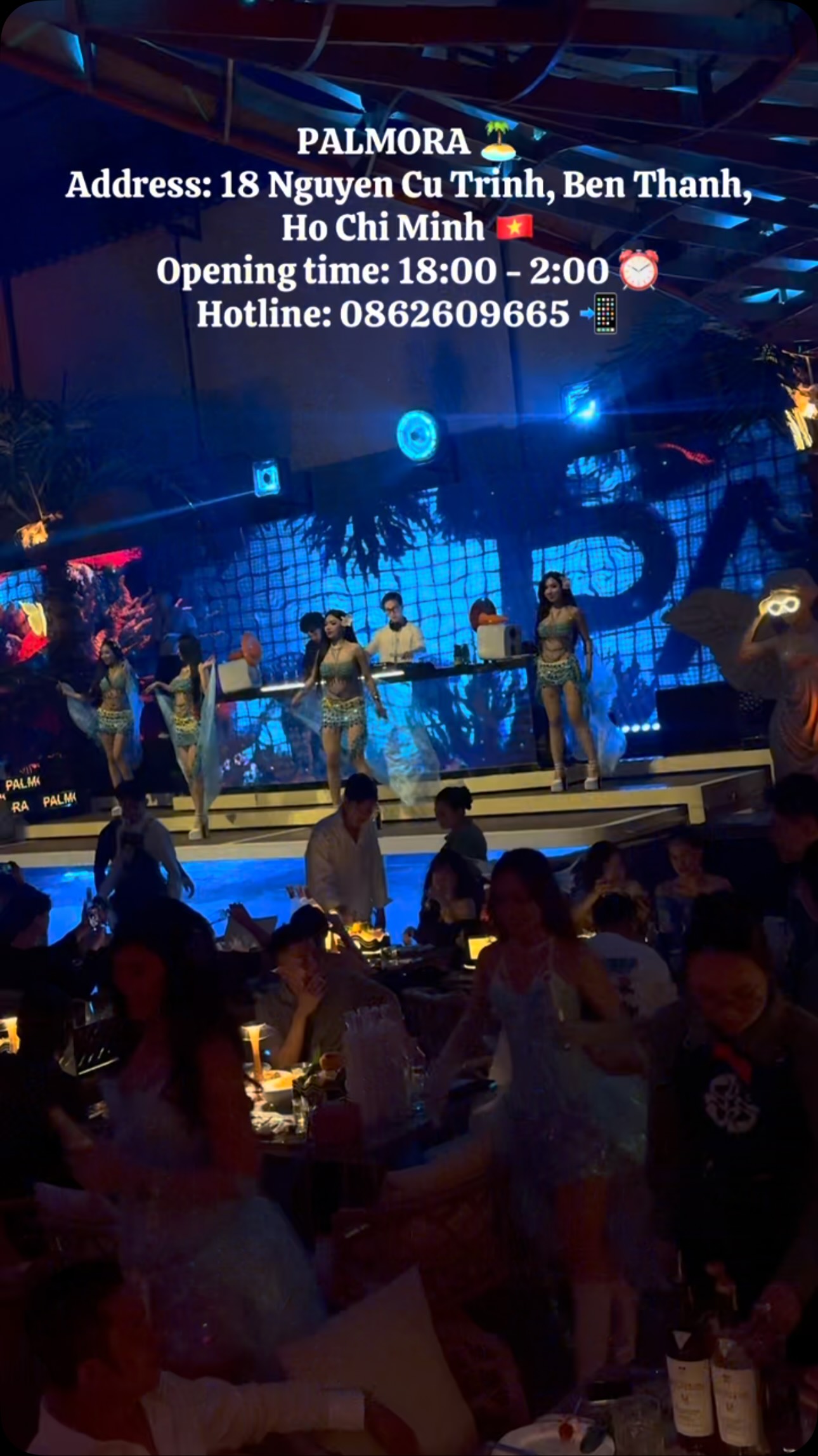 Palmora's Enchanting Ambiance