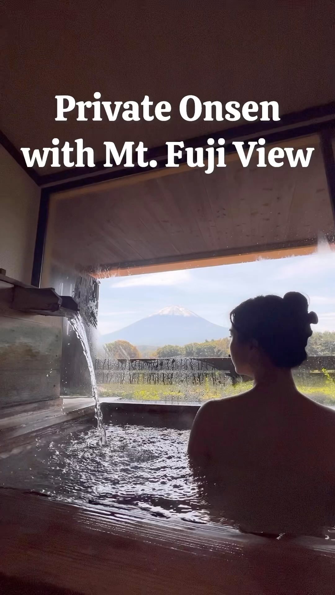 Mount Fuji View Onsen And Local Delicacies