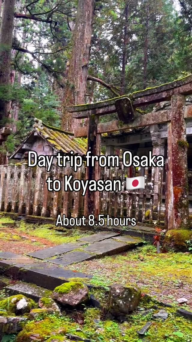 Koyasan: A Sacred Buddhist Pilgrimage Day Trip