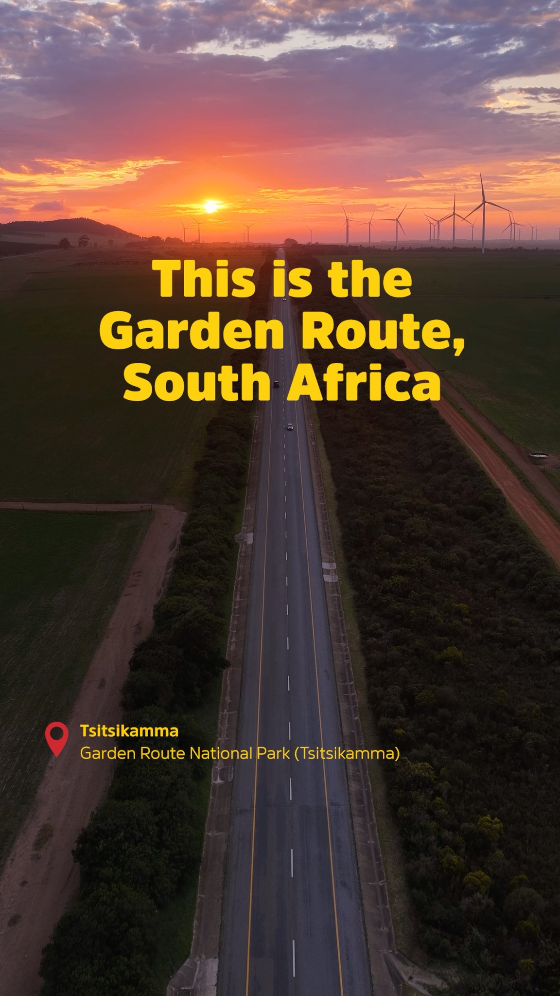 Garden Route Adventures: Diverse Landscapes and Wildlife