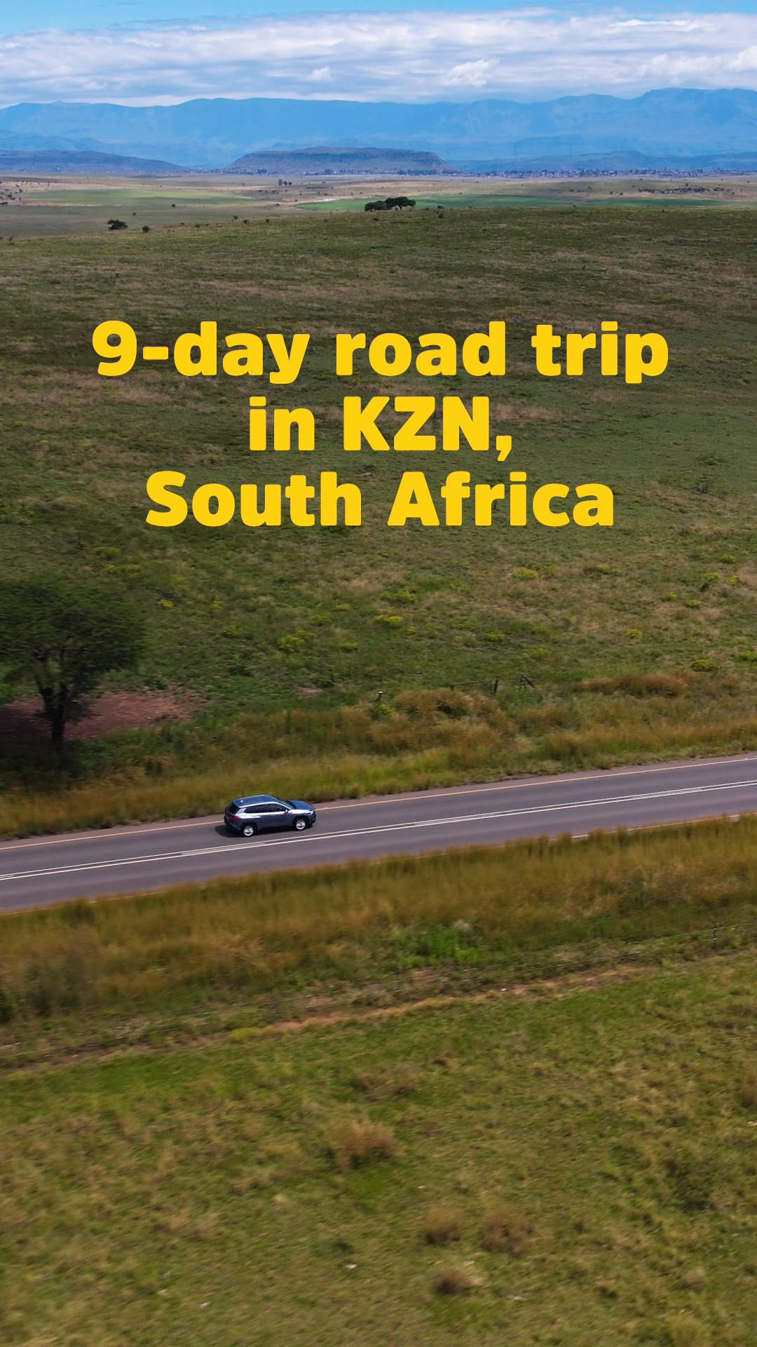 KwaZulu-Natal Road Trip: Safari, Beaches, and Curry