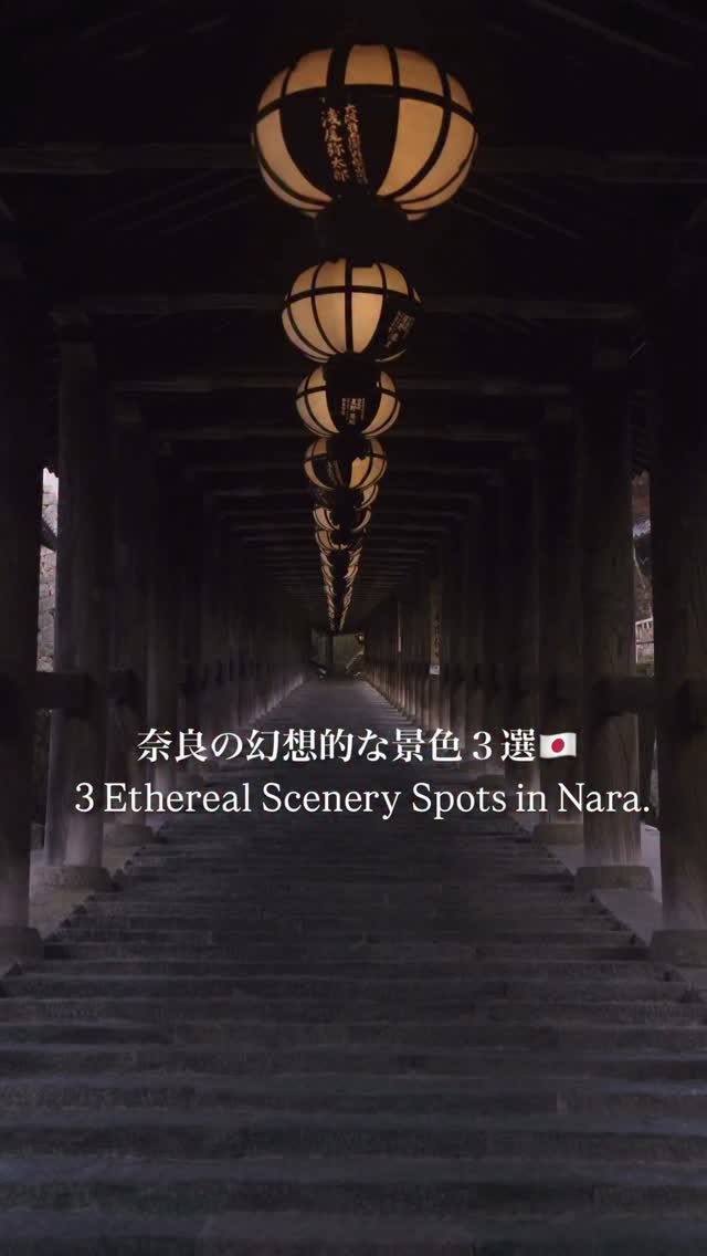 Nara's Illuminated Temples and Shrines