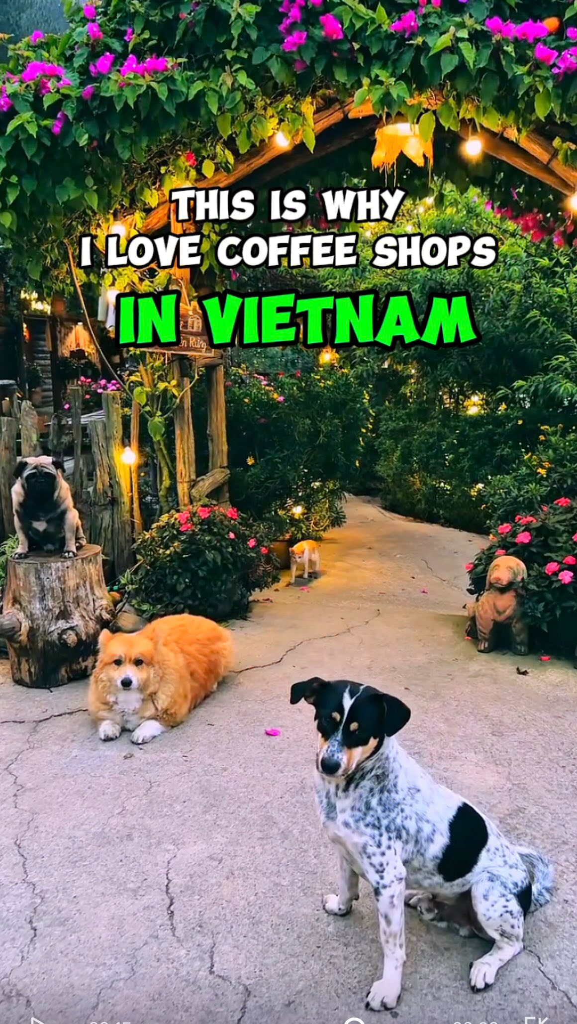 Vietnam's Nature-Integrated Coffee Shops