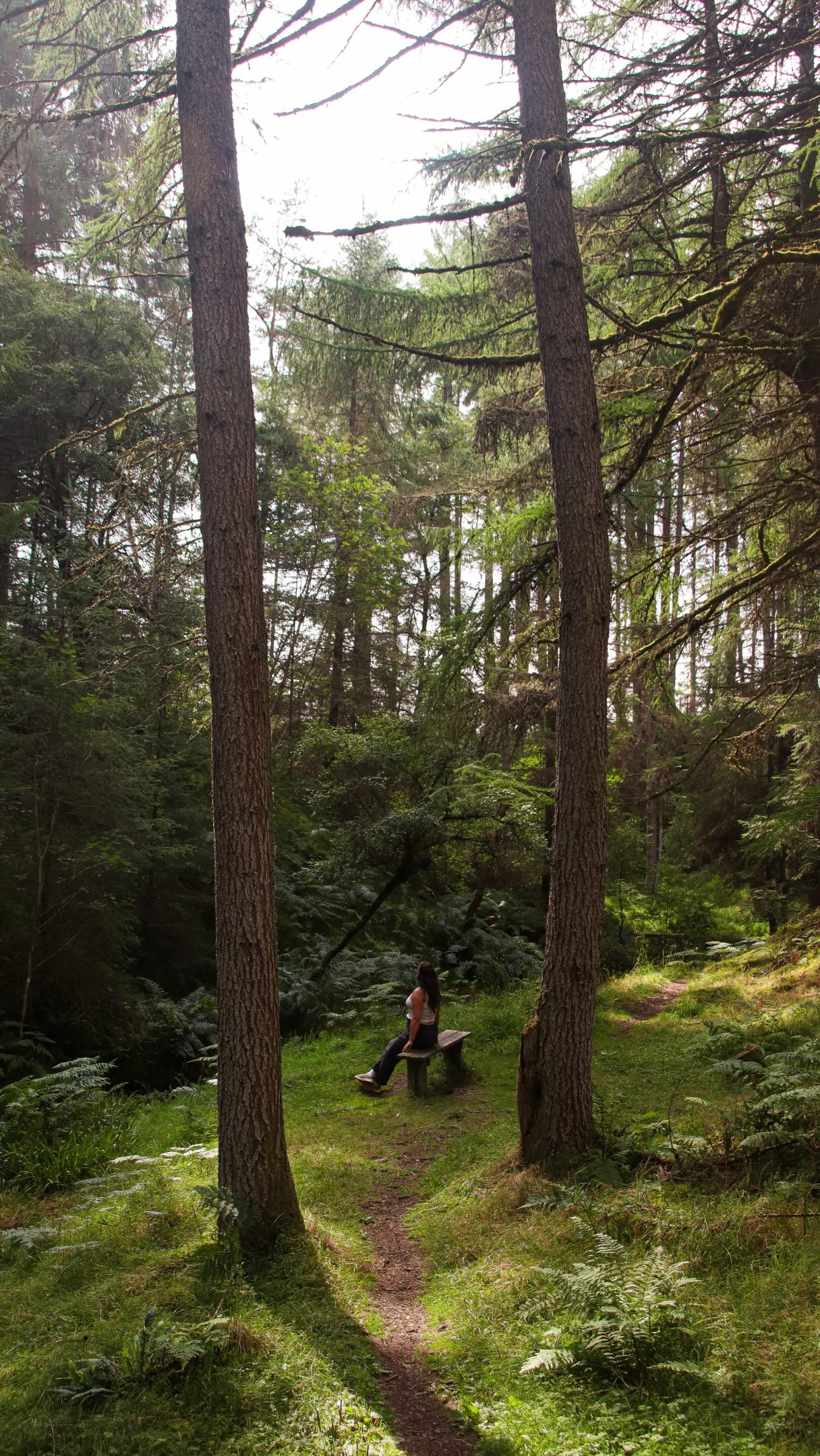Kielder Forest Offers Vast Woodland, Dark Skies, and Water