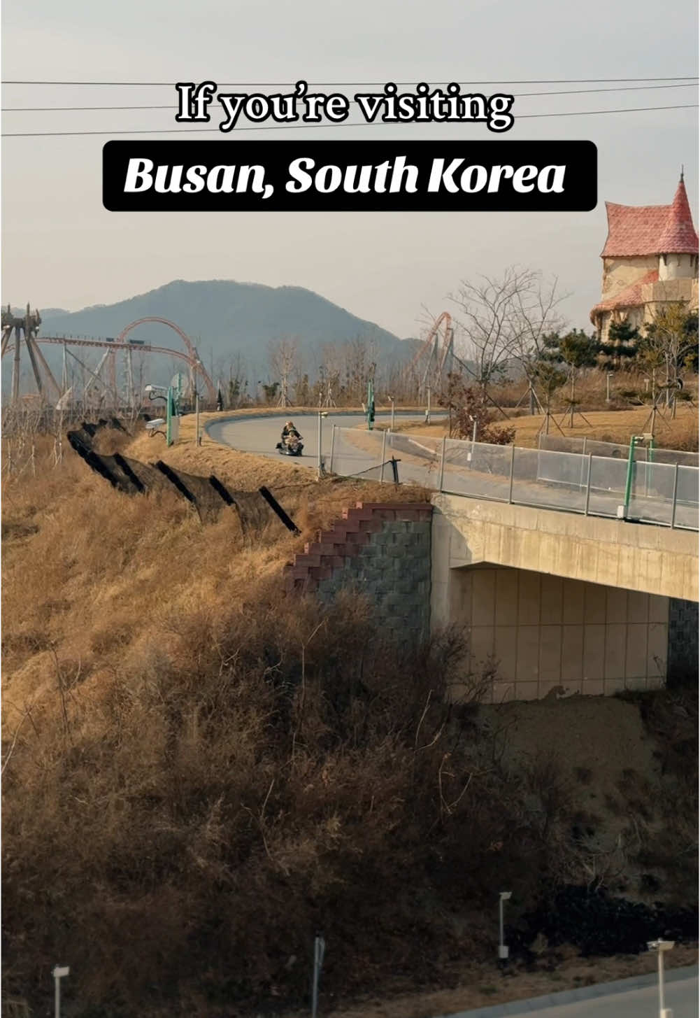 Skyline Luge Busan Offers Thrilling Mountain Rides