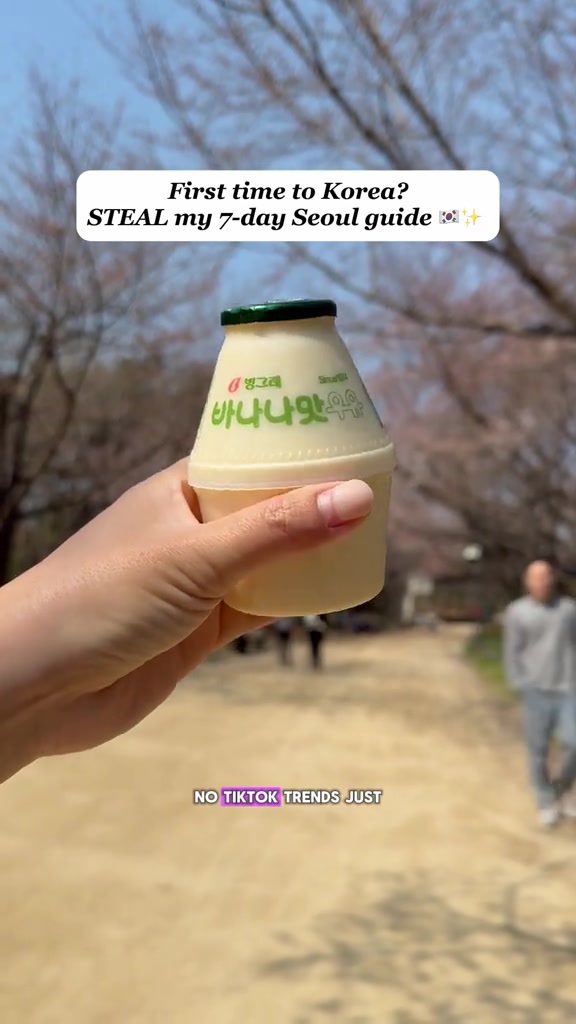 Seoul Itinerary: Palaces, Culture, and Shopping