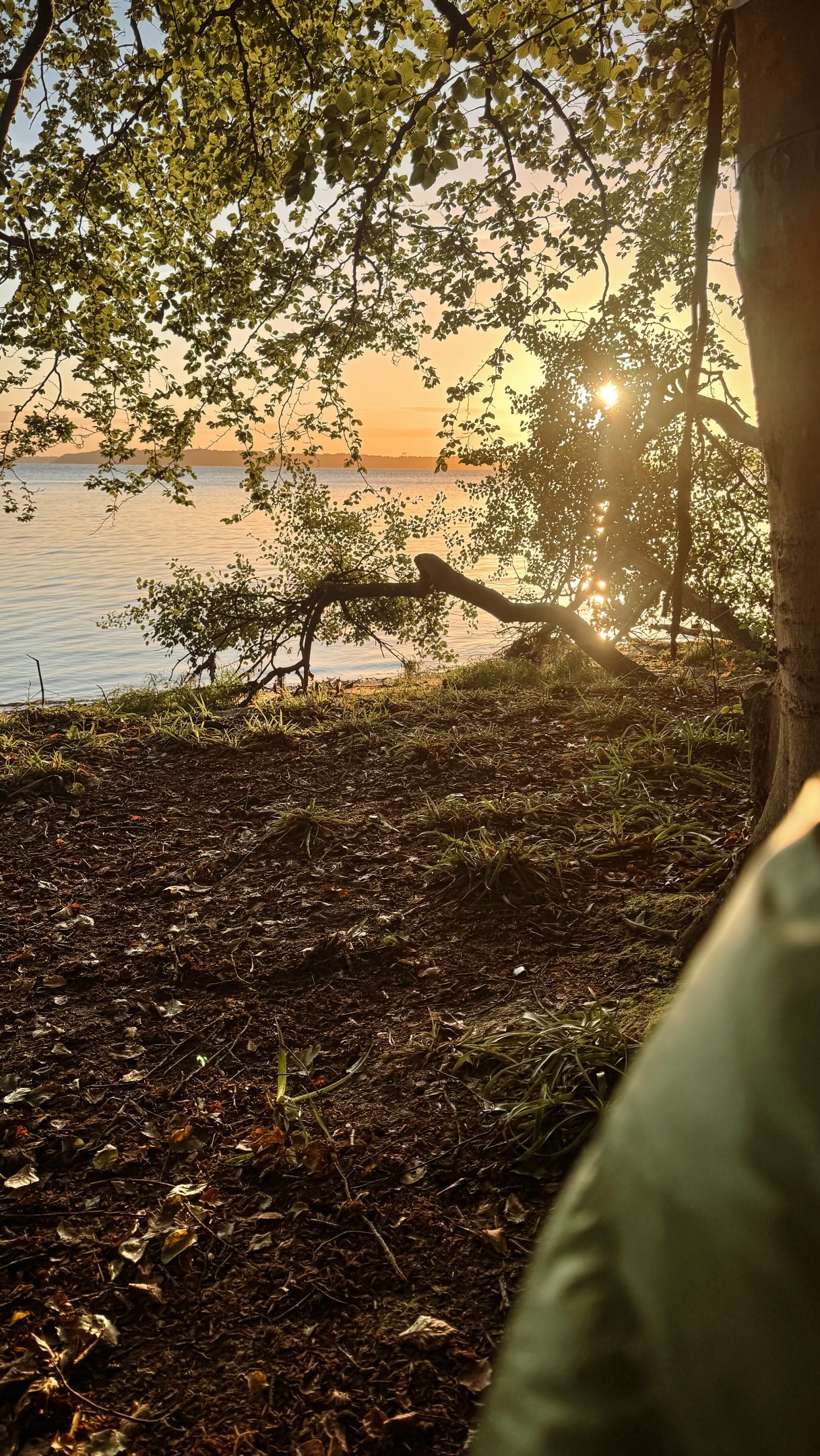 Forests Meet Fjord On Scenic Danish Hiking Trails