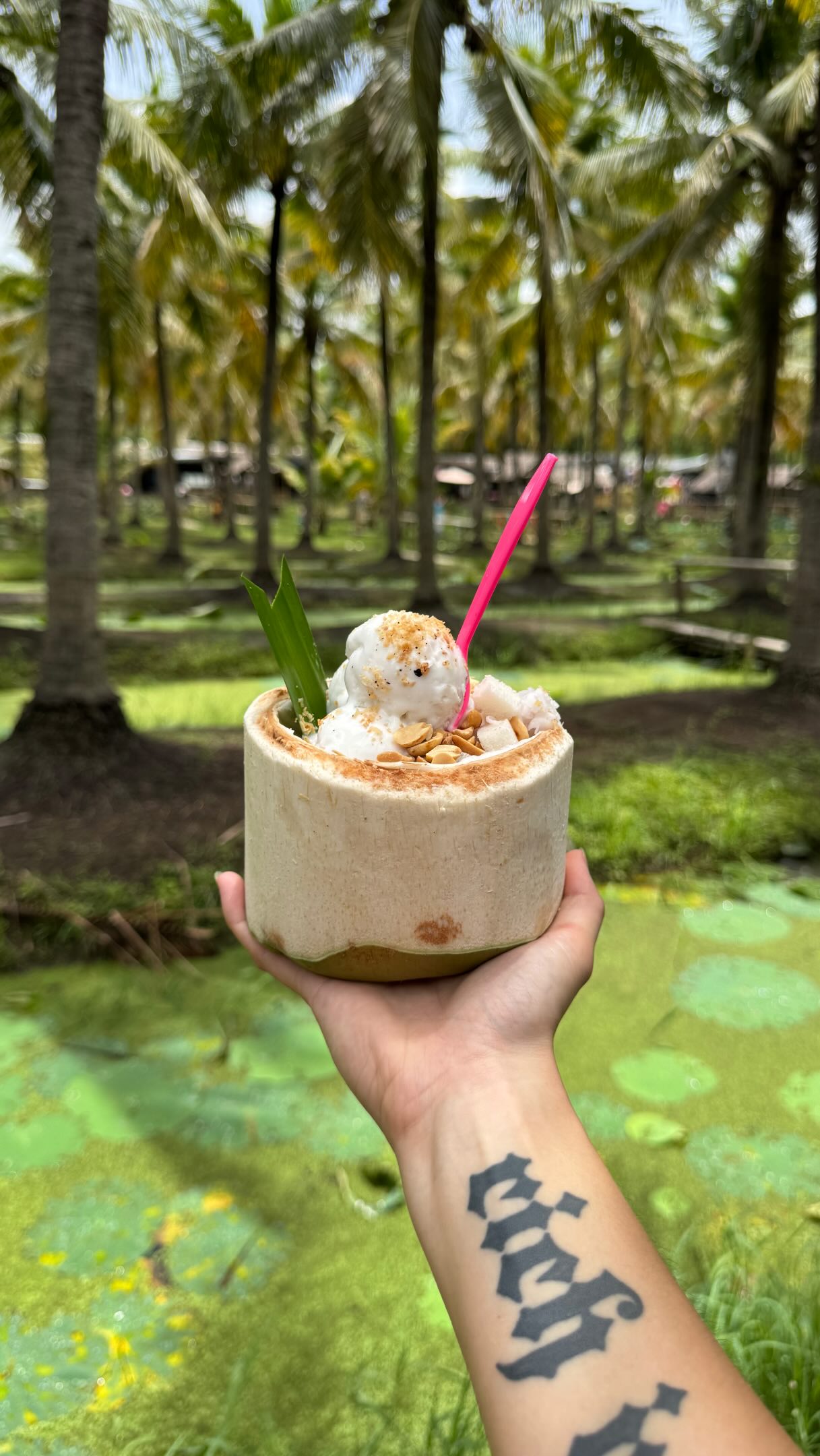 Coconut Market: A Chiang Mai Culinary Destination