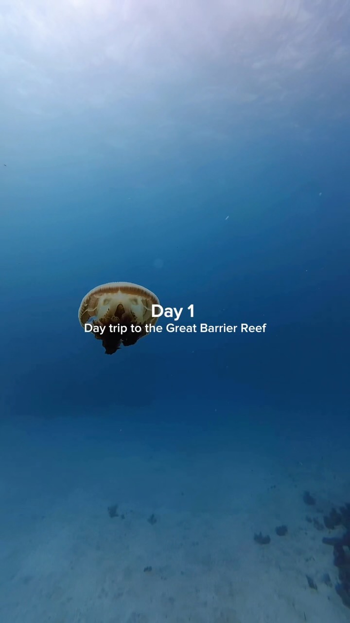 Cairns Adventures: Reef, Rainforest, Falls, and Village