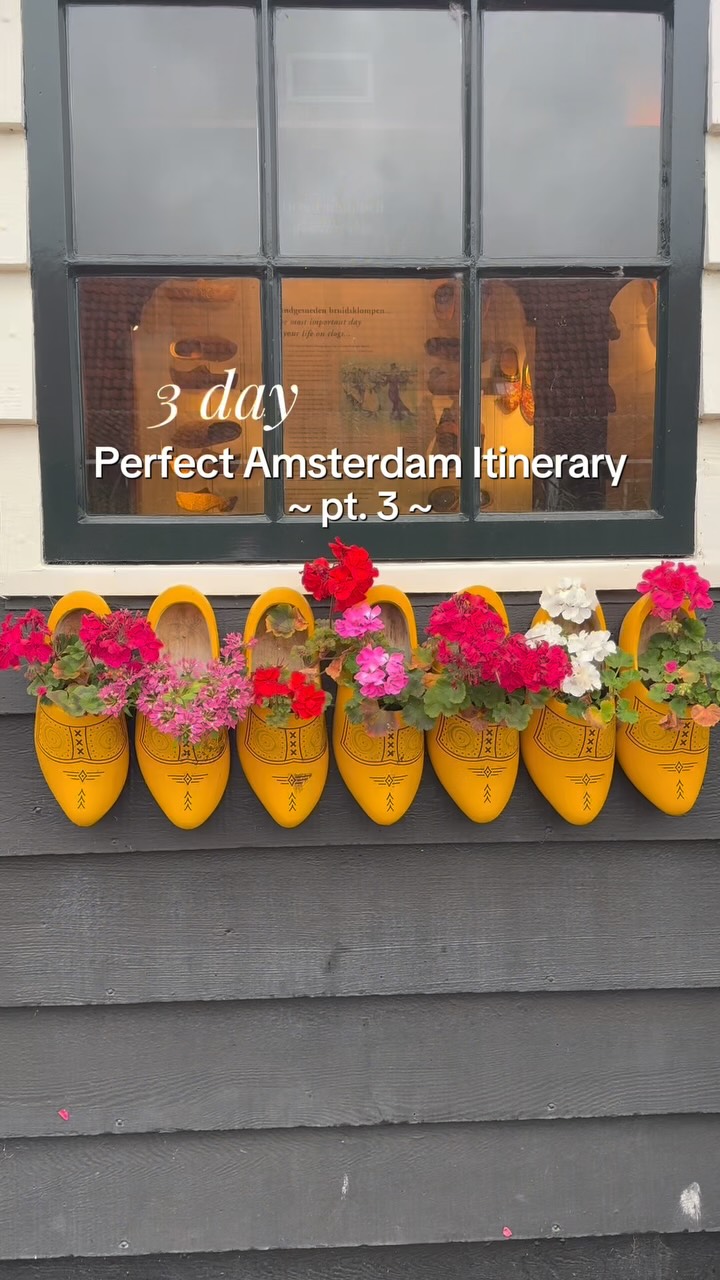 Amsterdam's Viral Food Spots And Canal Cruise