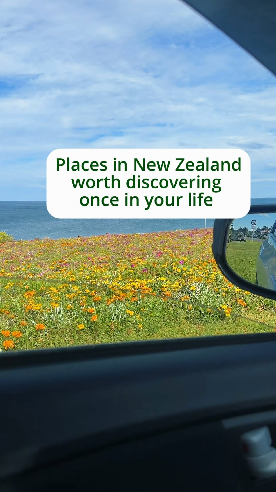 New Zealand's Natural Wonders: Caves, Falls, and Rocks