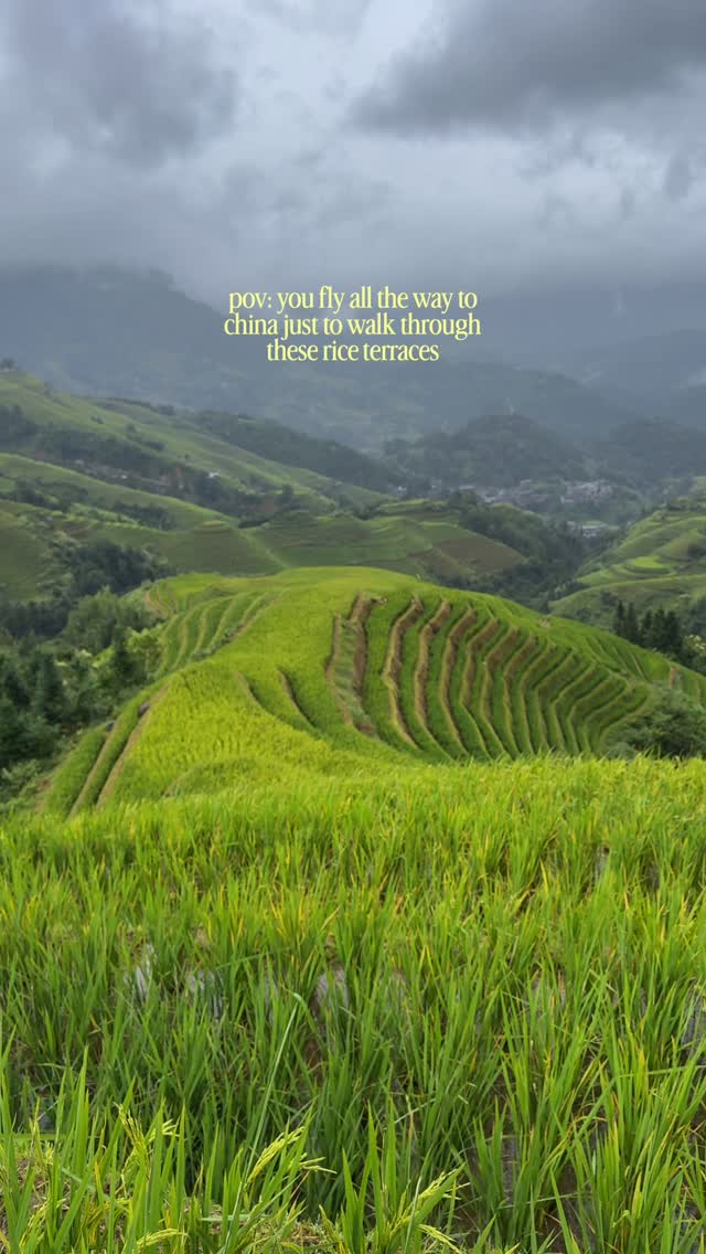Longji Rice Terraces: Ancient Beauty and Local Life