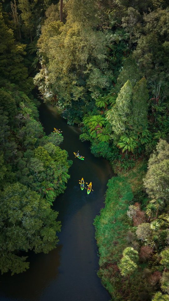New Zealand Glowworm Canyon Kayak Adventures