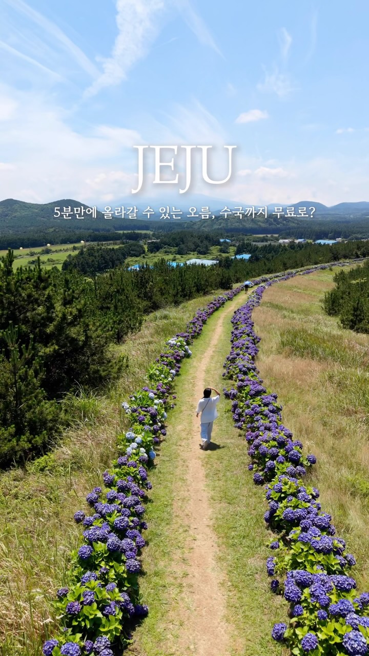 Jeju's Volcanic Cones Offer Fairytale Nature Walks