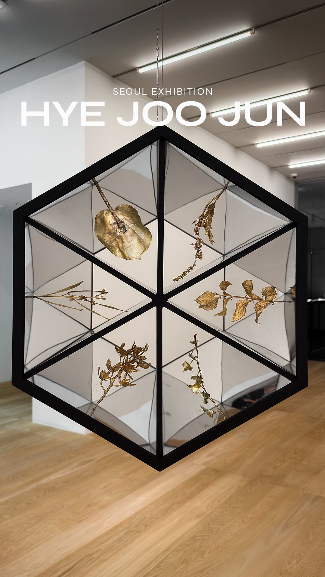 Hye Joo Jun's "Endoskopeia" Exhibition at SONGEUN