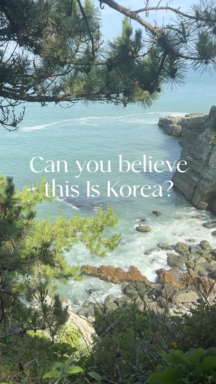 Igidae Coastal Trail: Busan's Scenic Ocean Path