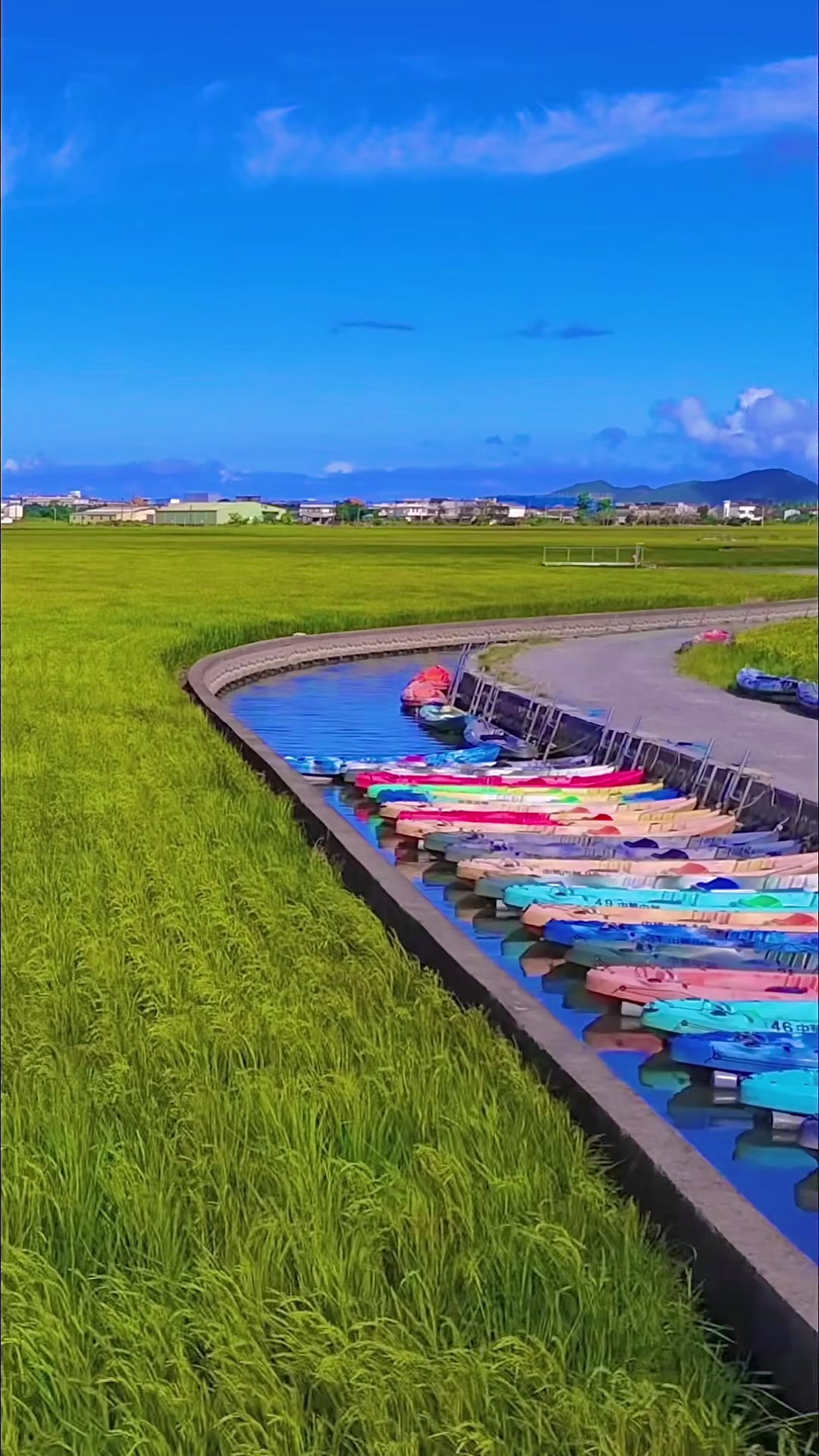 Scenic Avenue Famous for Its Natural Beauty