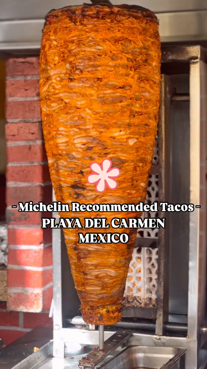 El Fogón: Michelin-Recommended Al Pastor Tacos
