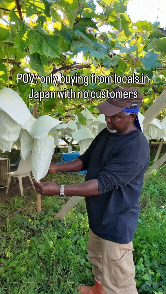 Grape Farmer's Dream Amidst Japanese Rains