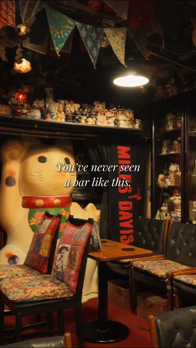 Tokyo's Unique Jazz Bar Filled With Lucky Cats