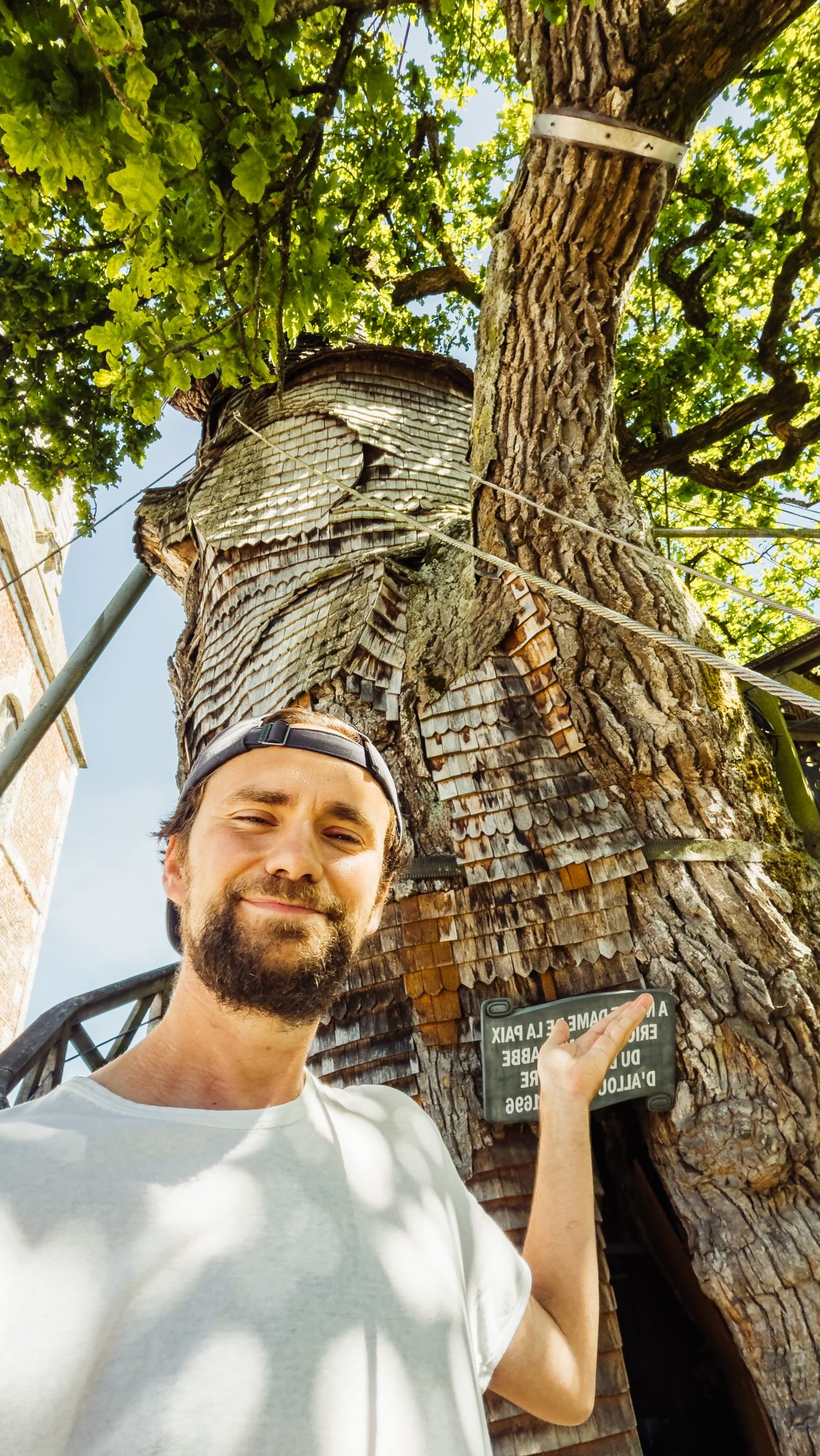 French Oak Tree Houses Two Chapels