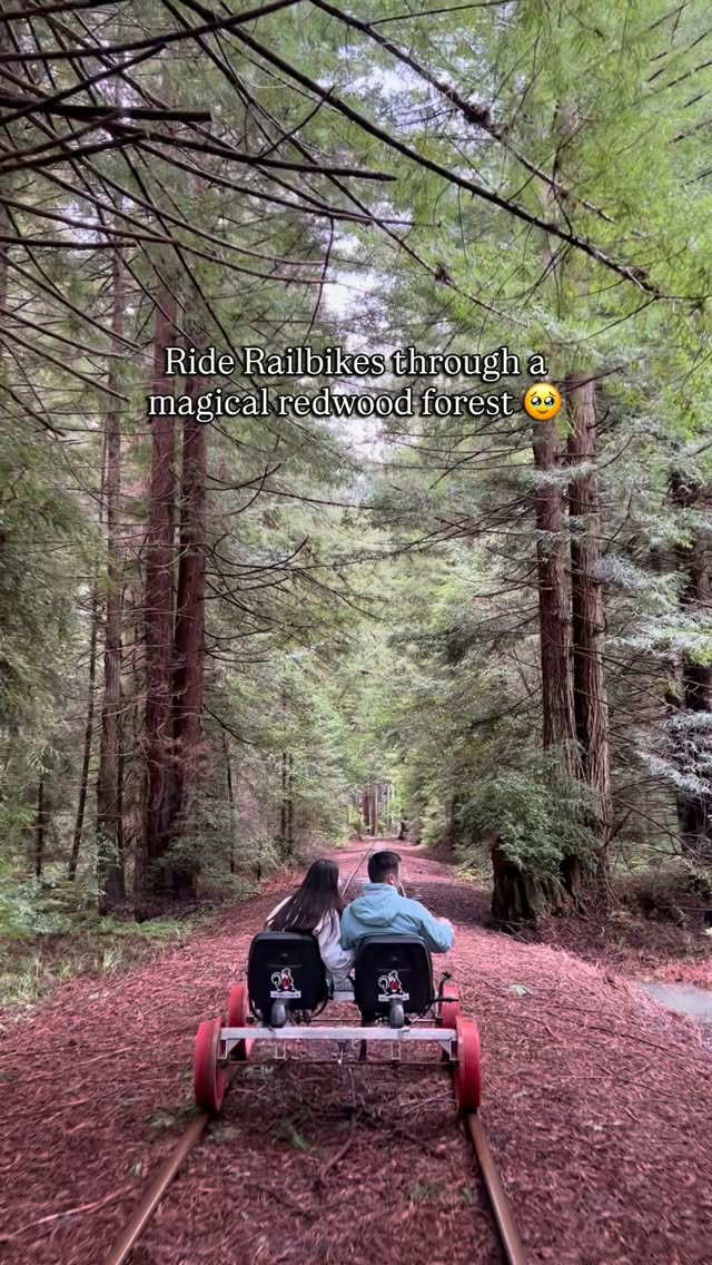 Redwood Rail Biking and Camping Adventure