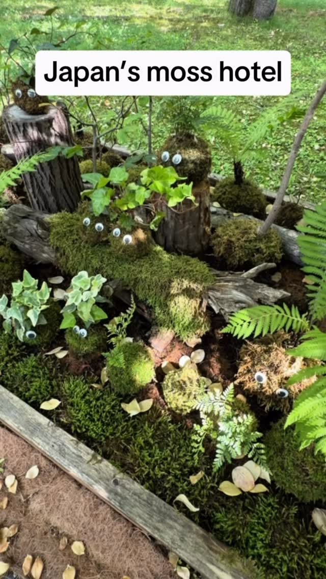 Tokyo Stays Featuring MOSS CROSS TOKYO
