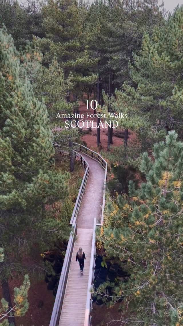 Scottish Forest Walks For Nature Lovers