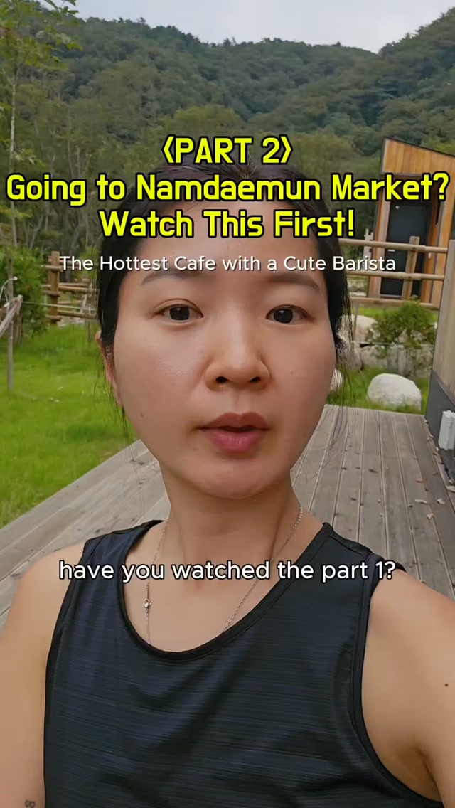 Namdaemun Market Food and Landmarks Exploration