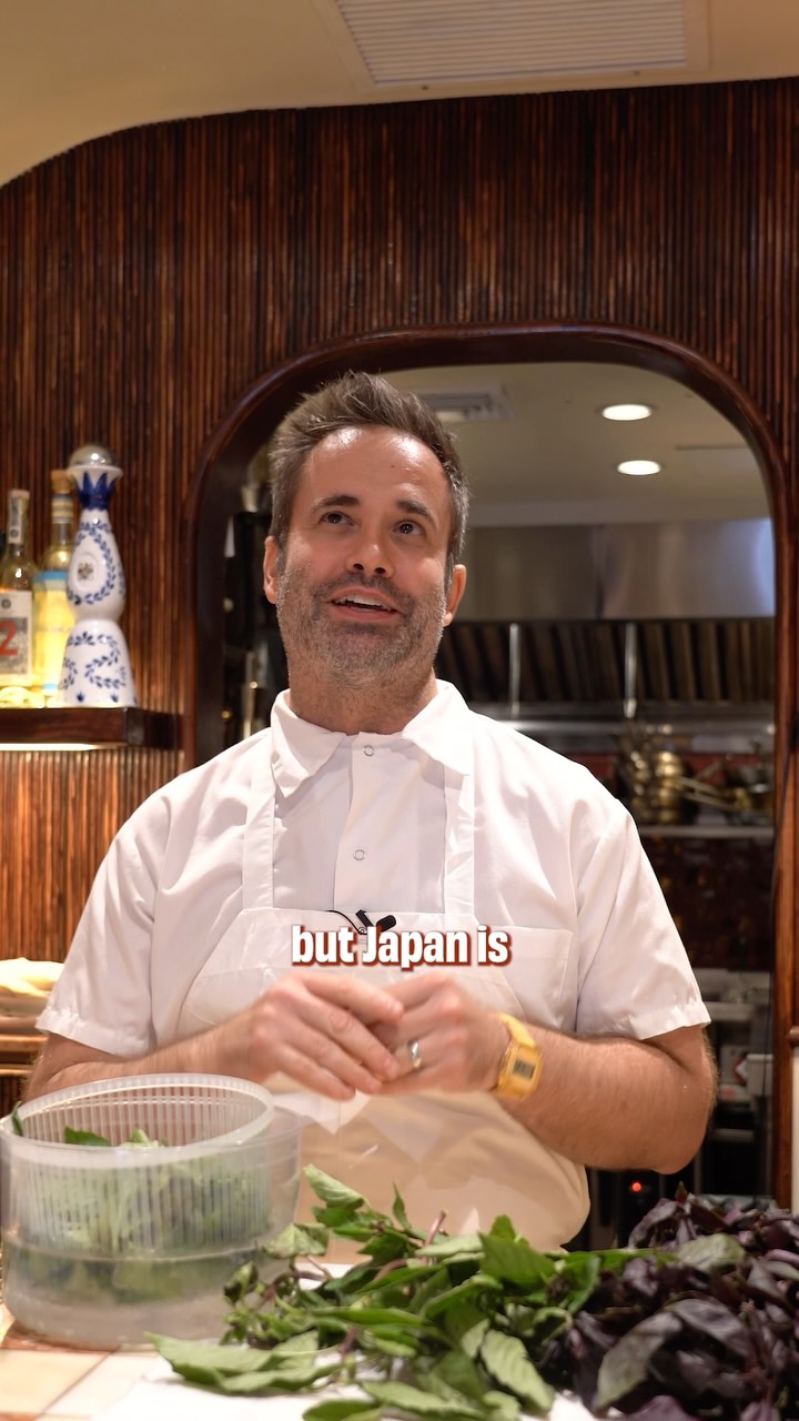 New York City Restaurants and Bars Chosen By A Chef