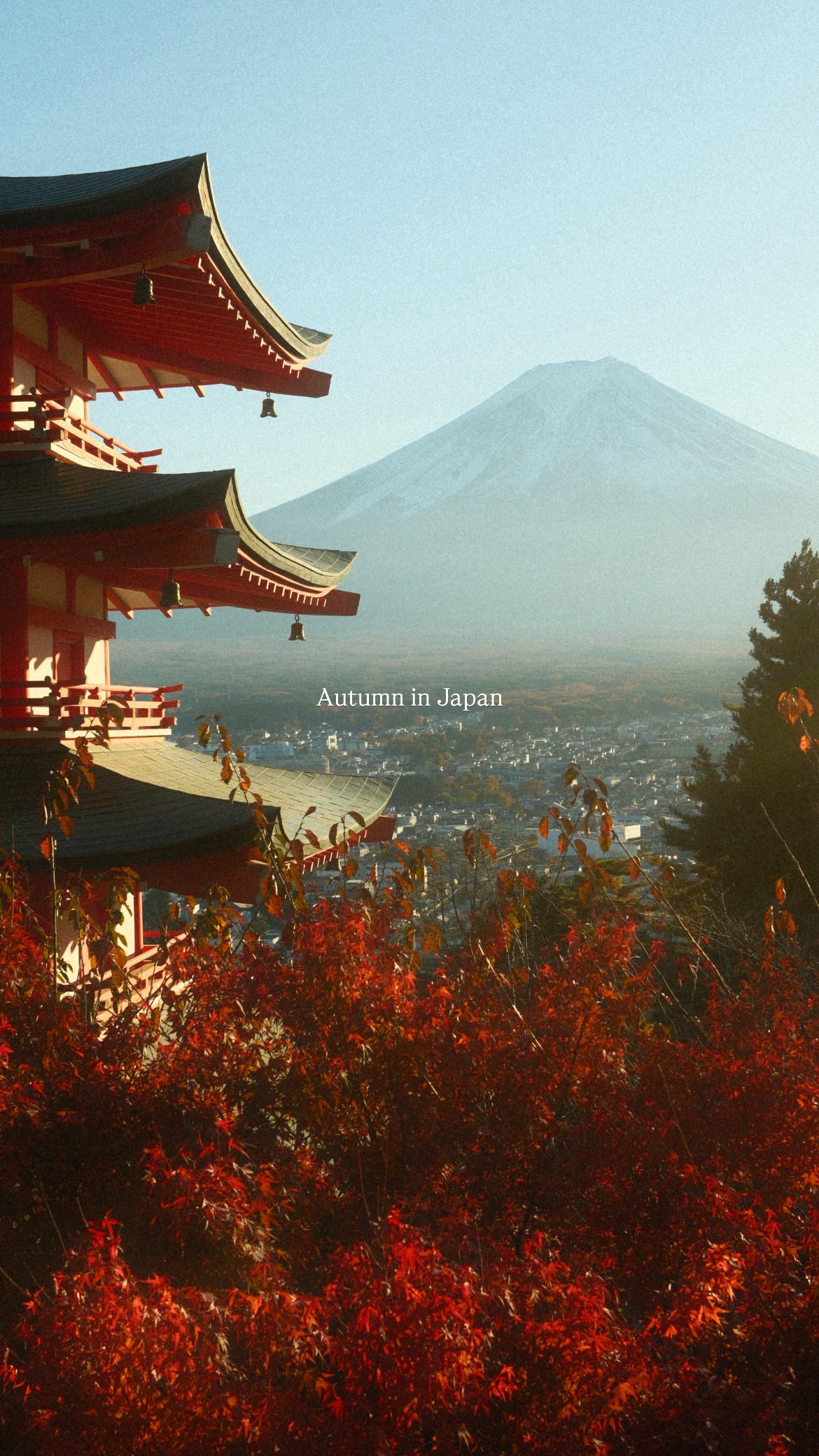 Iconic Japanese Landmarks and Temples