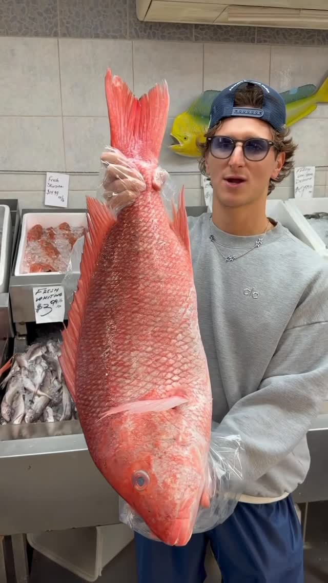 Astoria Seafood: Fresh Market-Style Seafood In New York