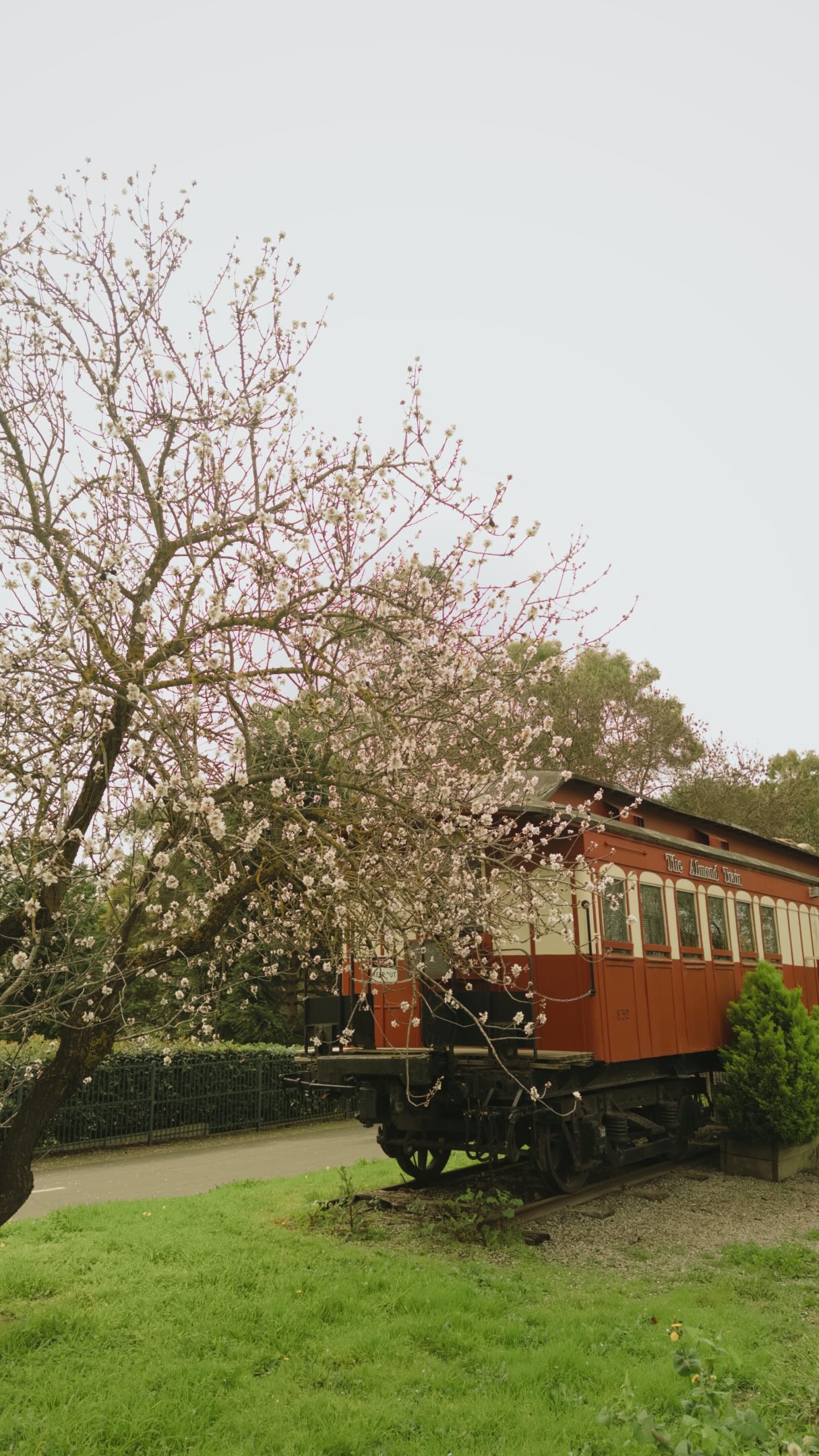 Japanese Dining Inside A Vintage Train Carriage
