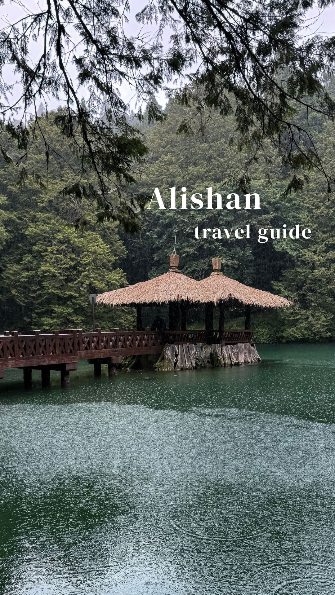 Alishan's Misty Forests, Old Streets, and Scenic Trails