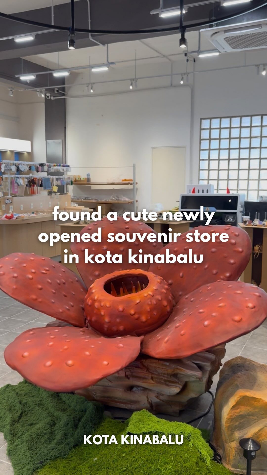 Souvenir Shopping on Gaya Street