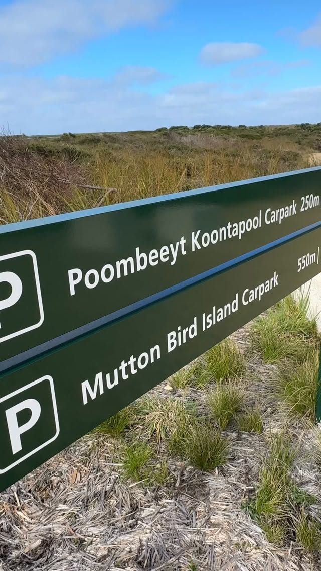 Great Ocean Road's Natural Wonders and Coastal Beauty