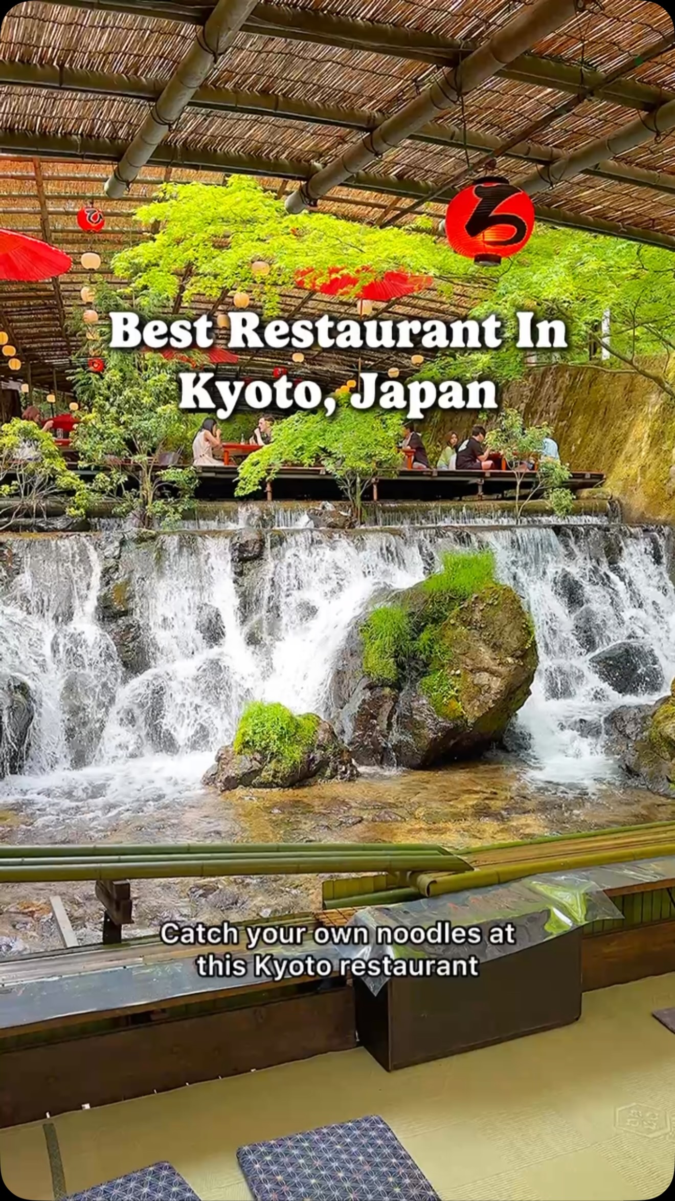 Kyoto's Magical Summer Dining and Shrine Experiences