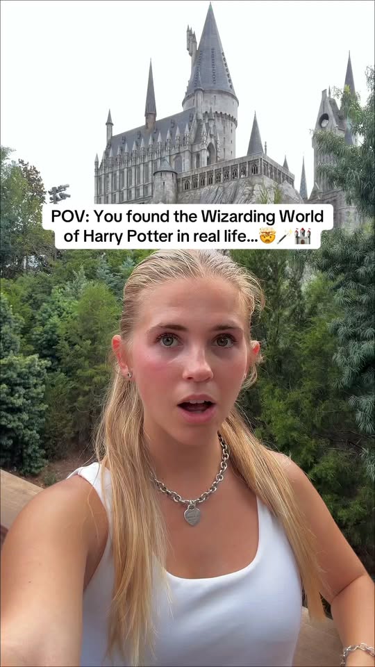 Harry Potter Attractions At Universal Orlando Resort
