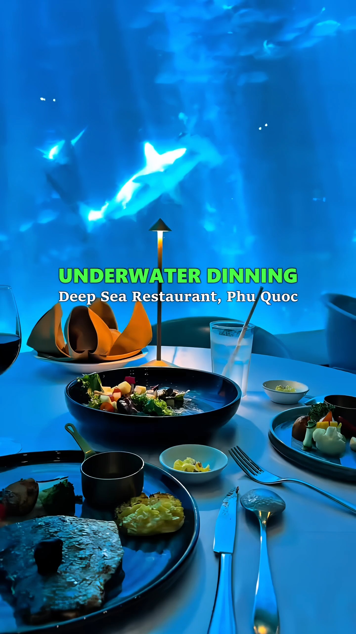 Underwater Dining Experience At VinWonders Phu Quoc