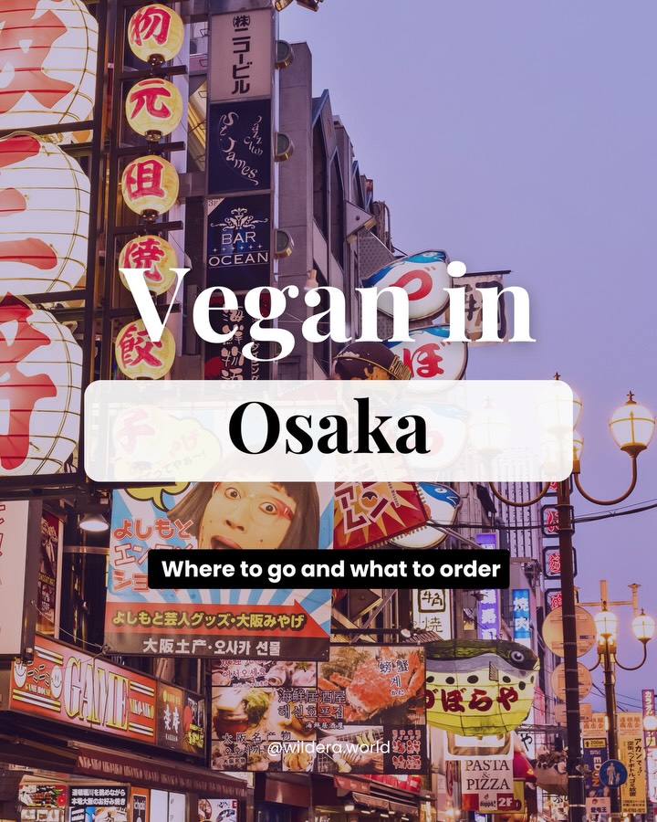 Osaka's Vegan Eateries Offer Diverse Delights