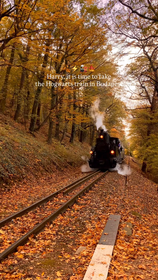 Budapest Children's Railway Steam Train Experience