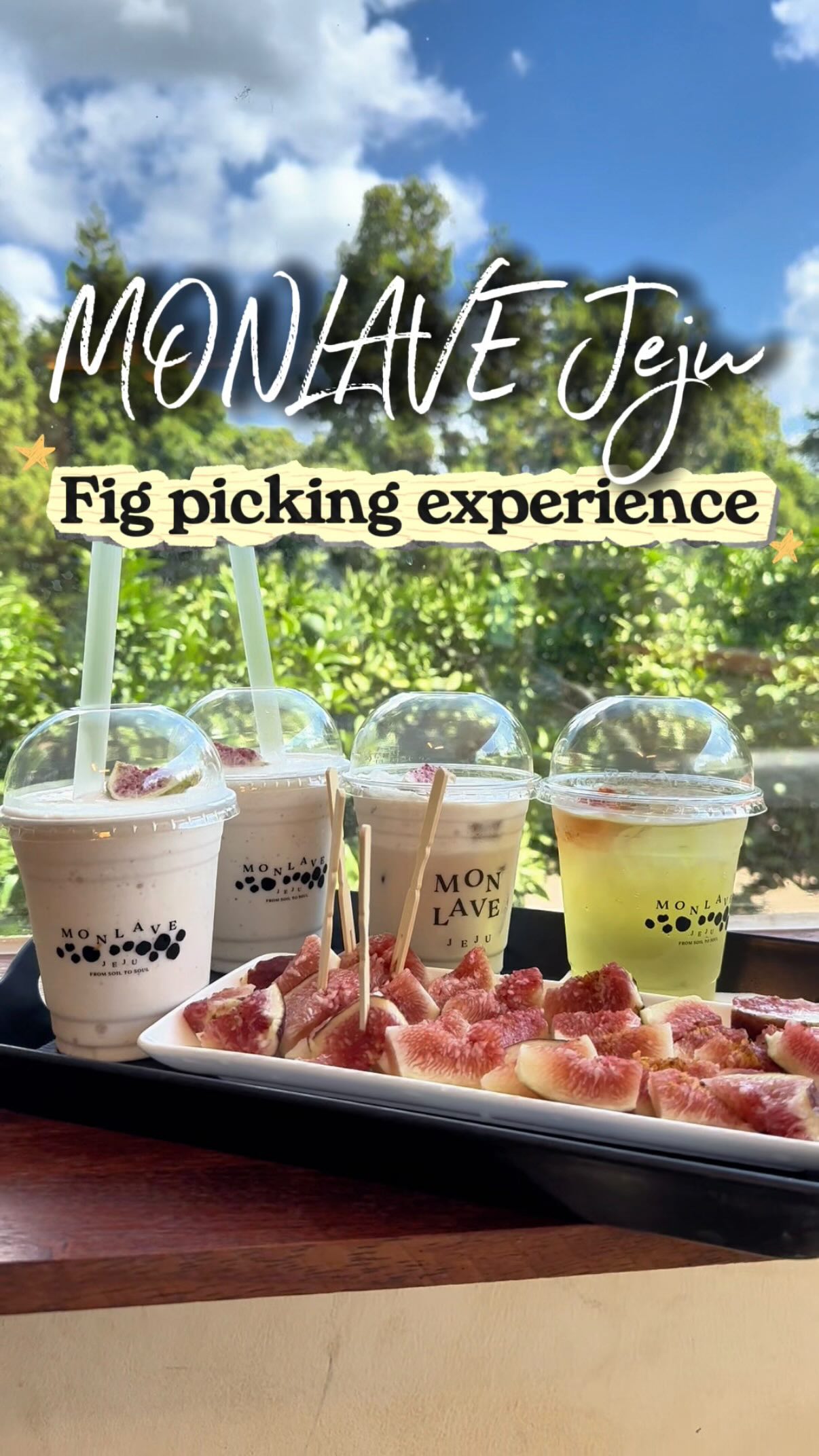 Fig Picking Experience At Monlave In Jeju