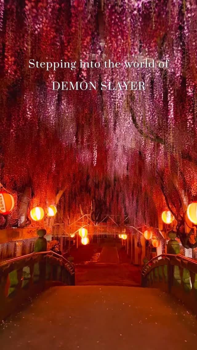 Wisteria Tunnel Near Yanagawa Stations